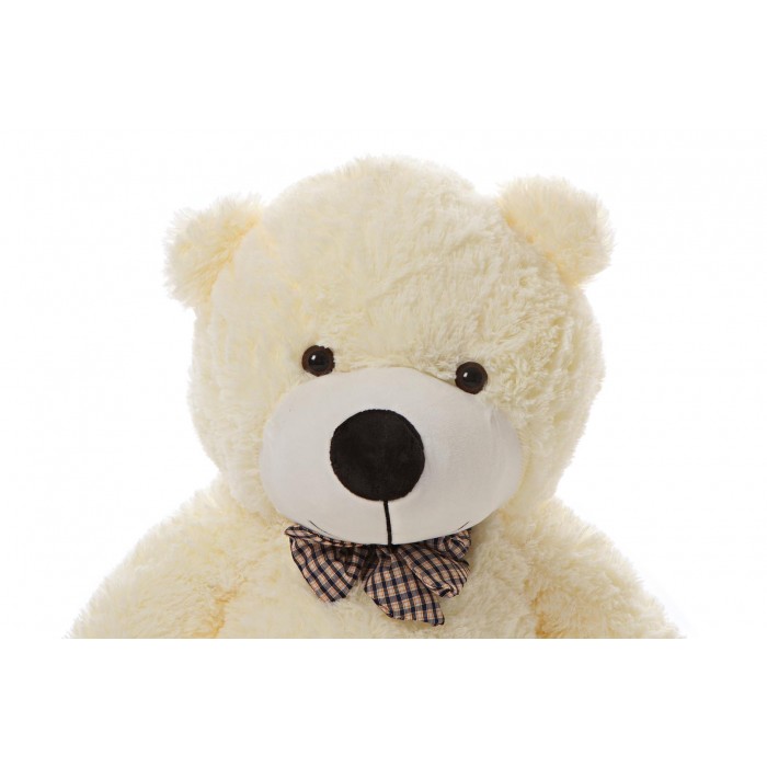 Meškinas "Teddy"